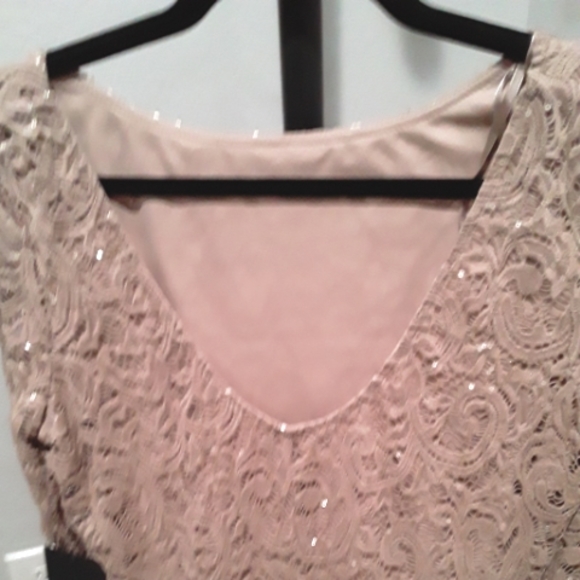 Nordstrom Marina Dress Taupe Lace Sequin - Picture 4 of 6